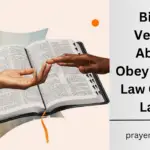 Bible Verses About Obeying The Law Of The Land