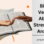 Bible Verses About Stress And Anxiety