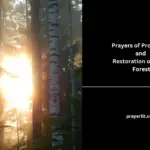 Prayers of Protection and Restoration of Virgin Forest