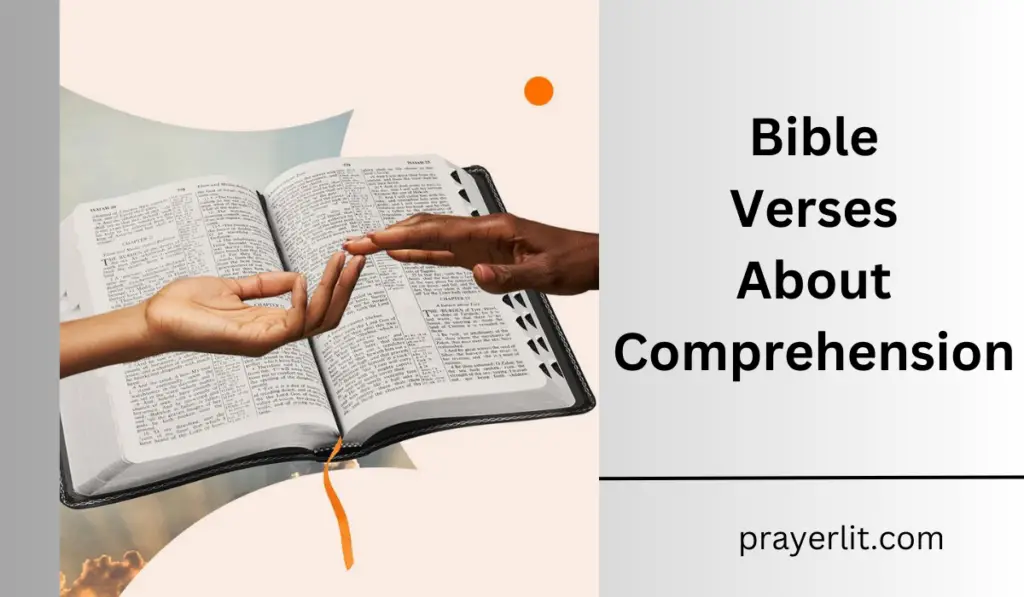 Bible Verses About Comprehension