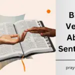 Bible Verses About Sentiment