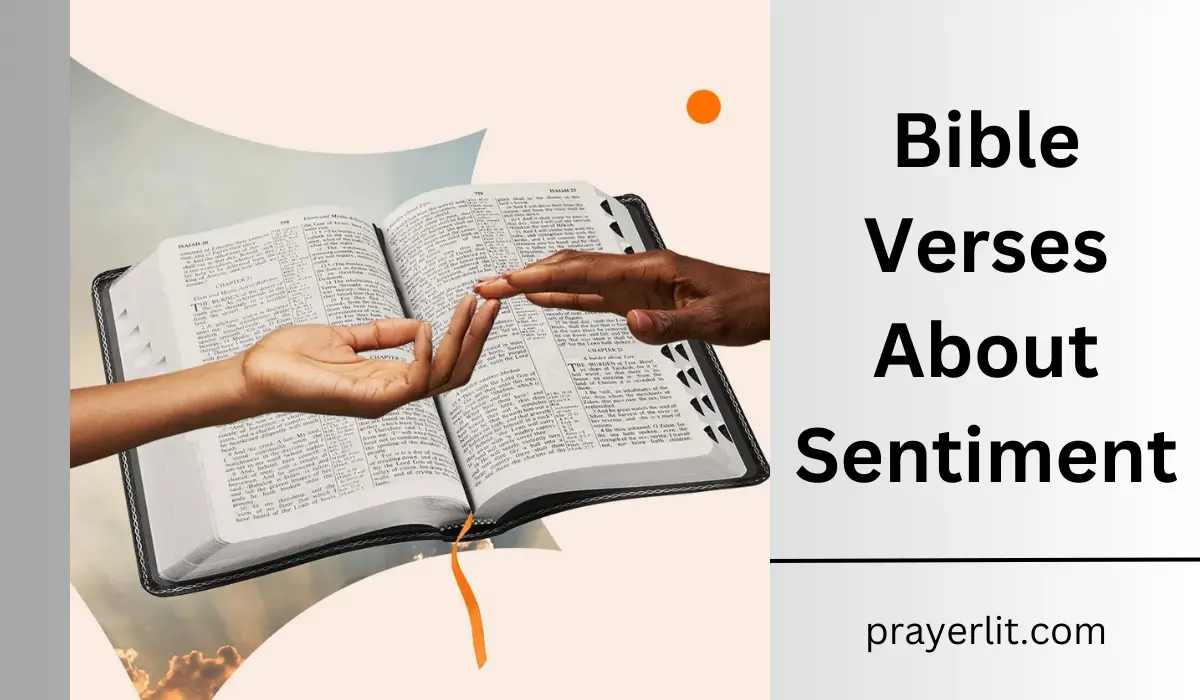  Bible Verses About Sentiment