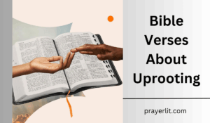 Bible Verses About Uprooting