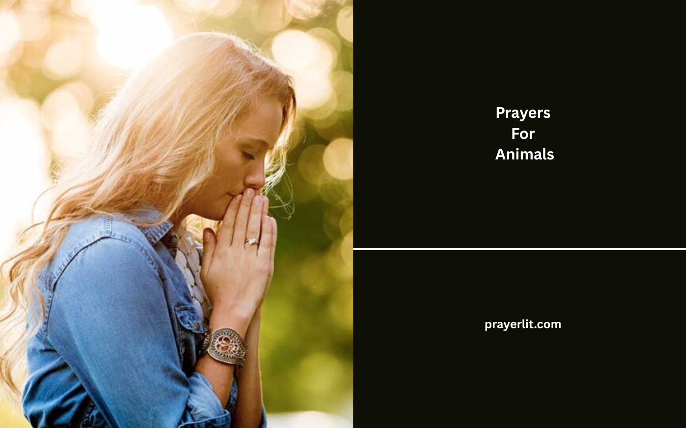 Prayers For Animals