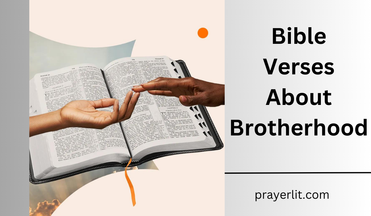 Bible Verses About Brotherhood