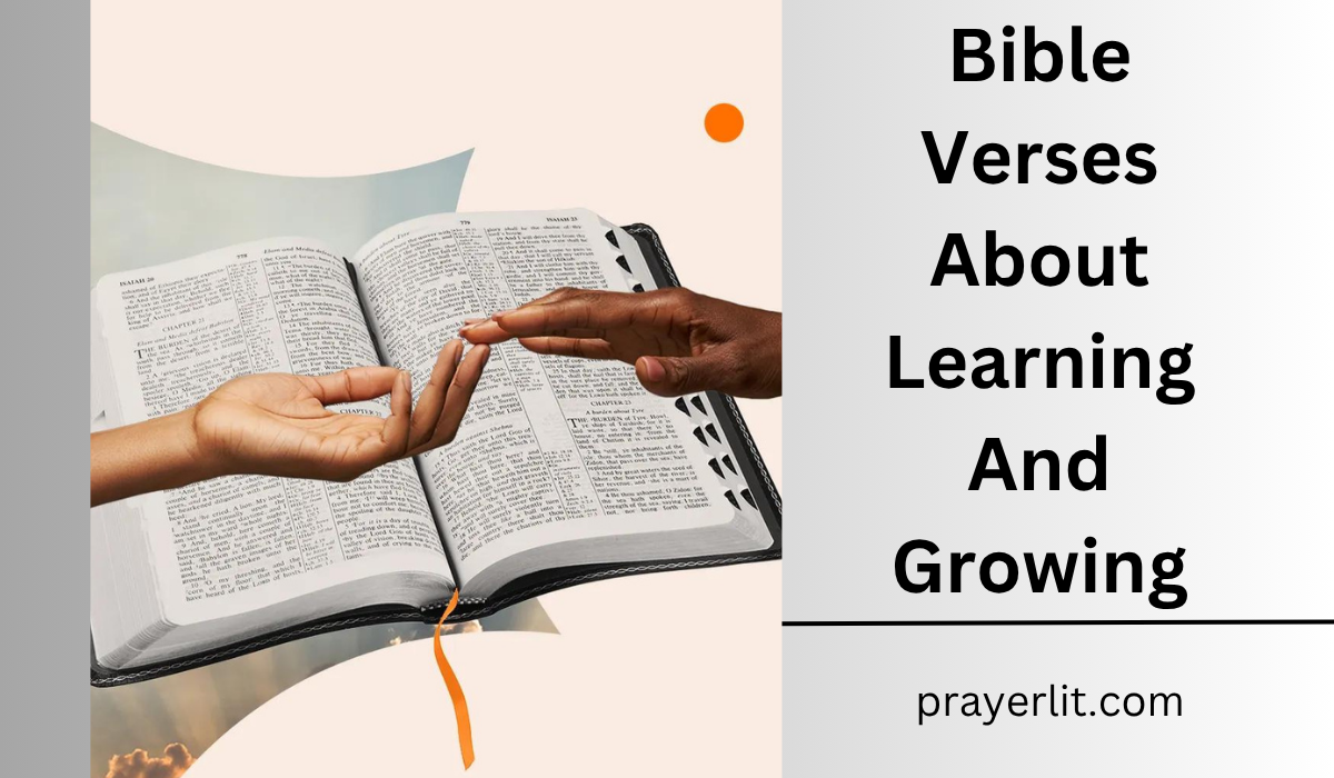  Bible Verses About Learning And Growing
