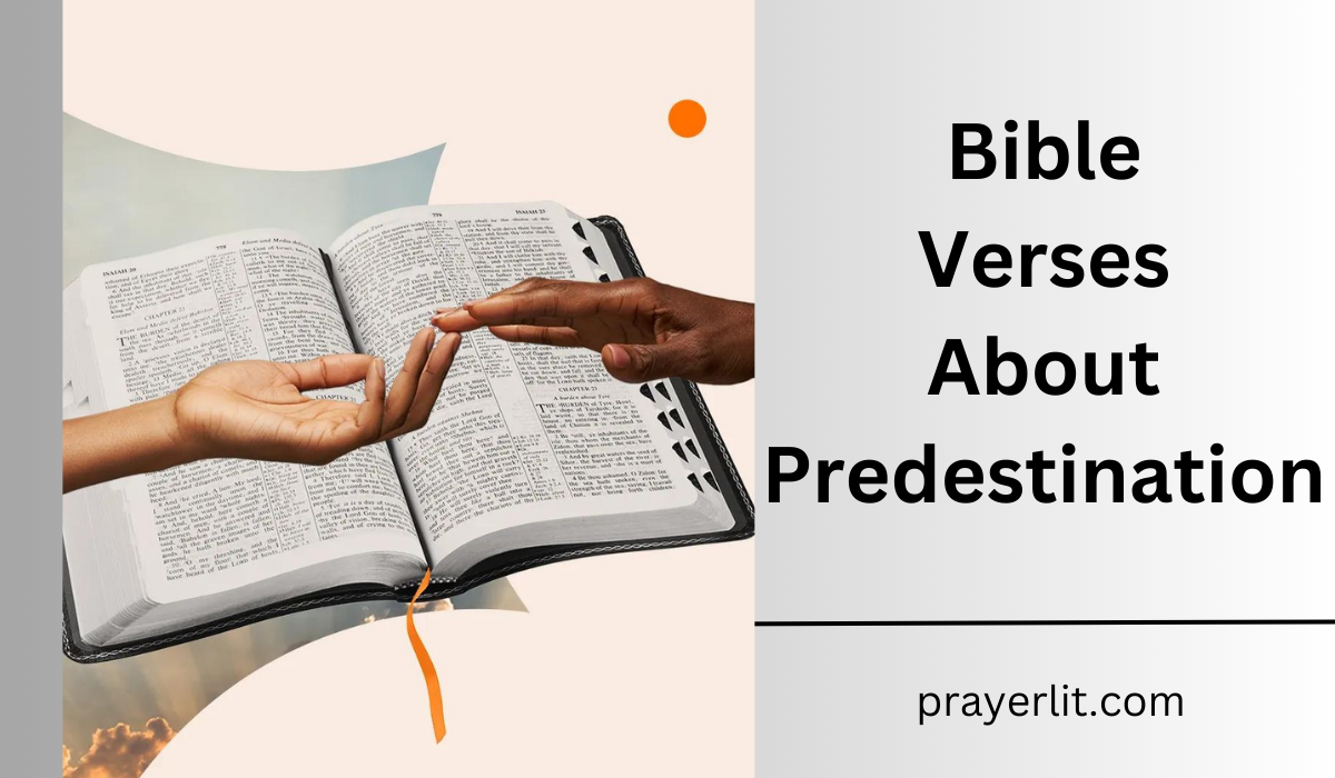 Bible Verses About Predestination