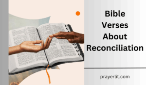 Bible Verses About Reconciliation
