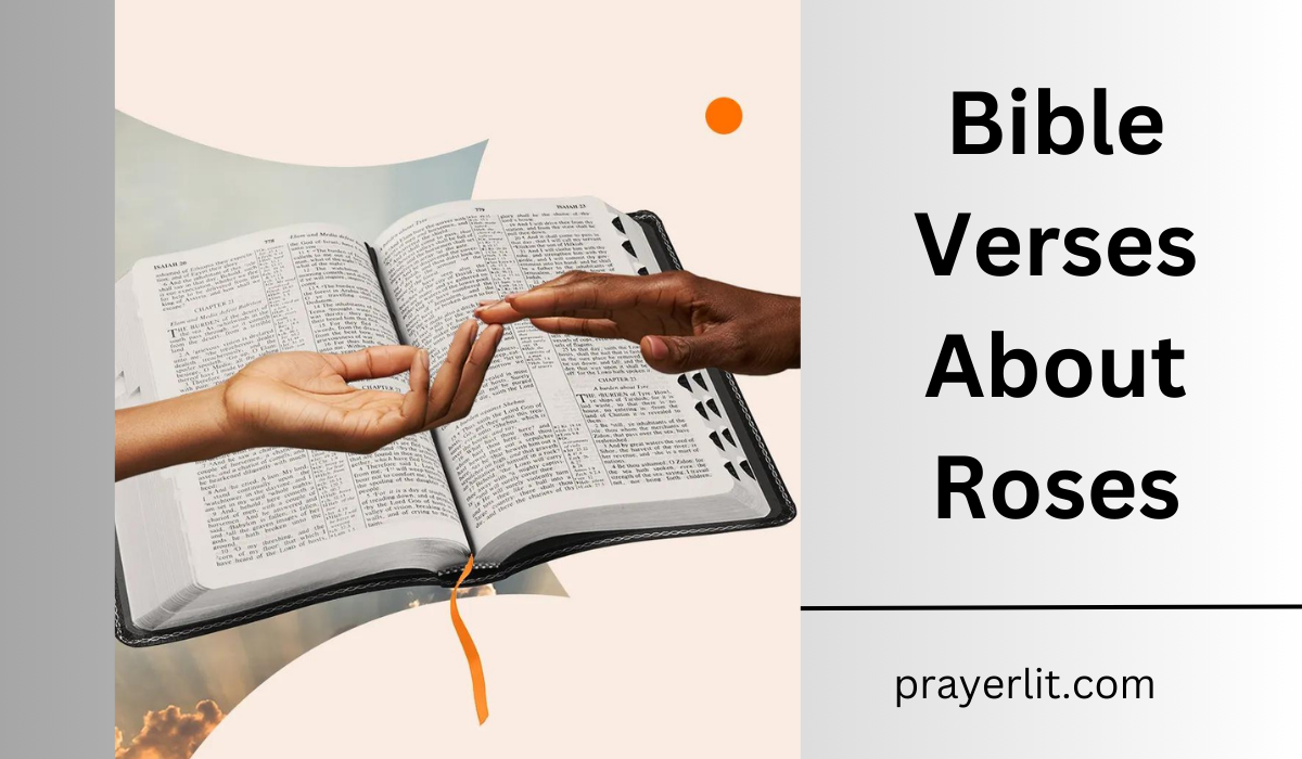 Bible Verses About Roses