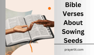 Bible Verses About Sowing Seeds