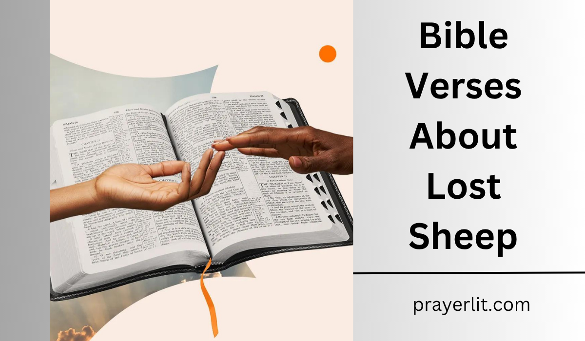 Bible Verses About Lost Sheep
