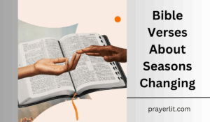Bible Verses About Seasons Changing