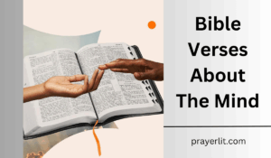 Bible Verses About The Mind