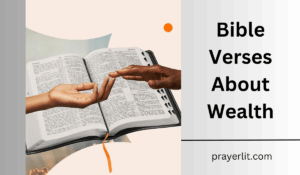 Bible Verses About Wealth