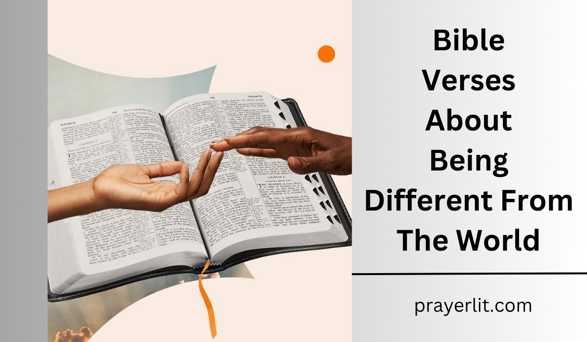 Bible Verses About Being Different From The World