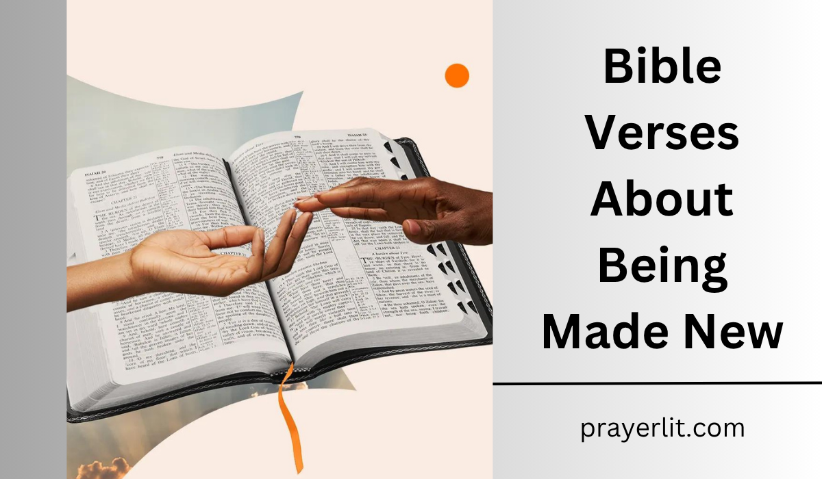 Bible Verses About Being Made New
