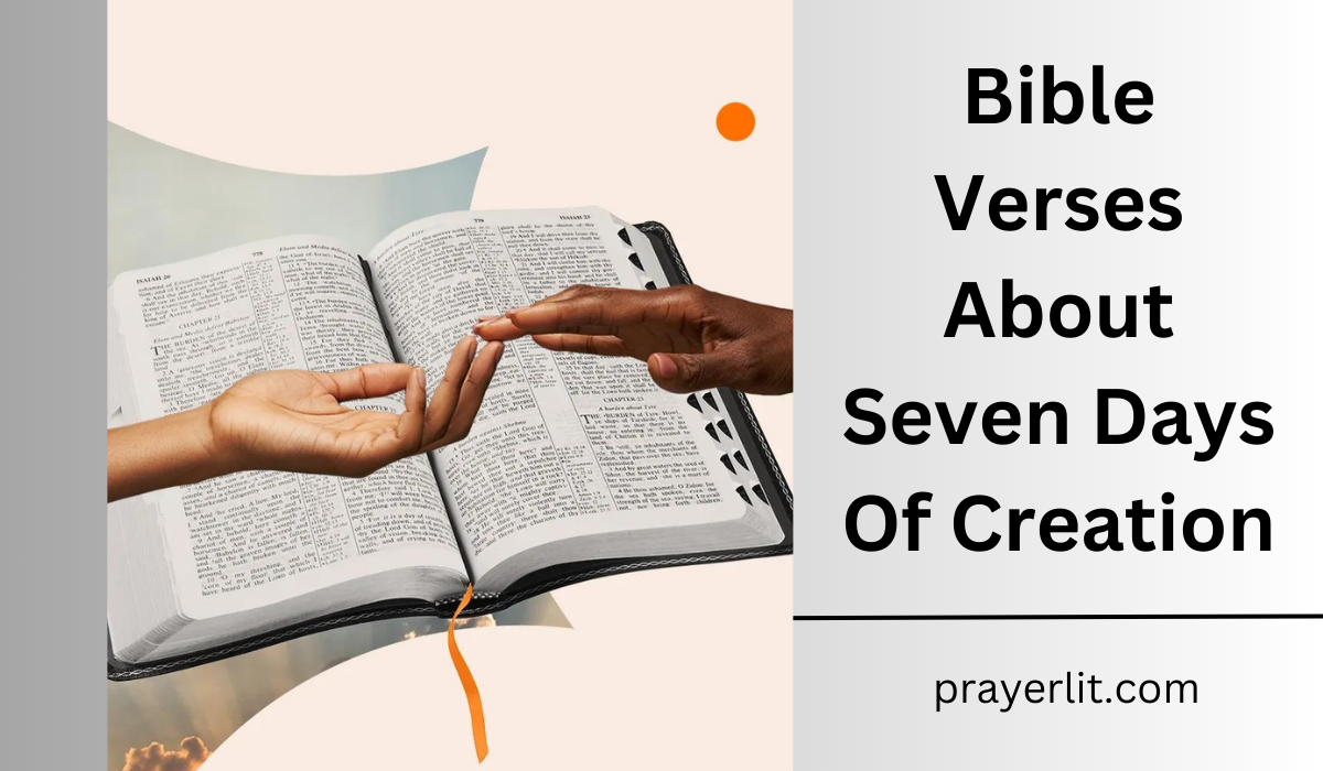  Bible Verses About Seven Days Of Creation
