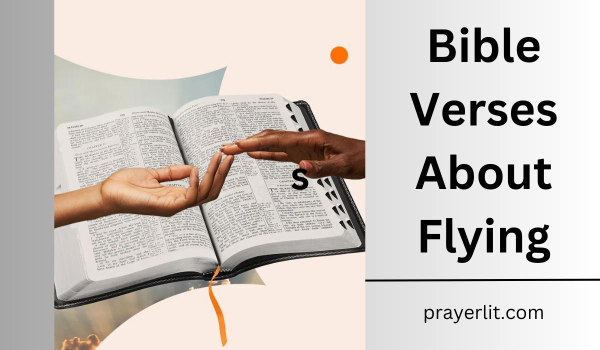  Bible Verses About Flying