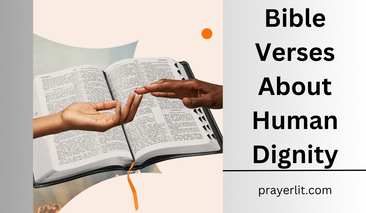 Bible Verses About Human Dignity