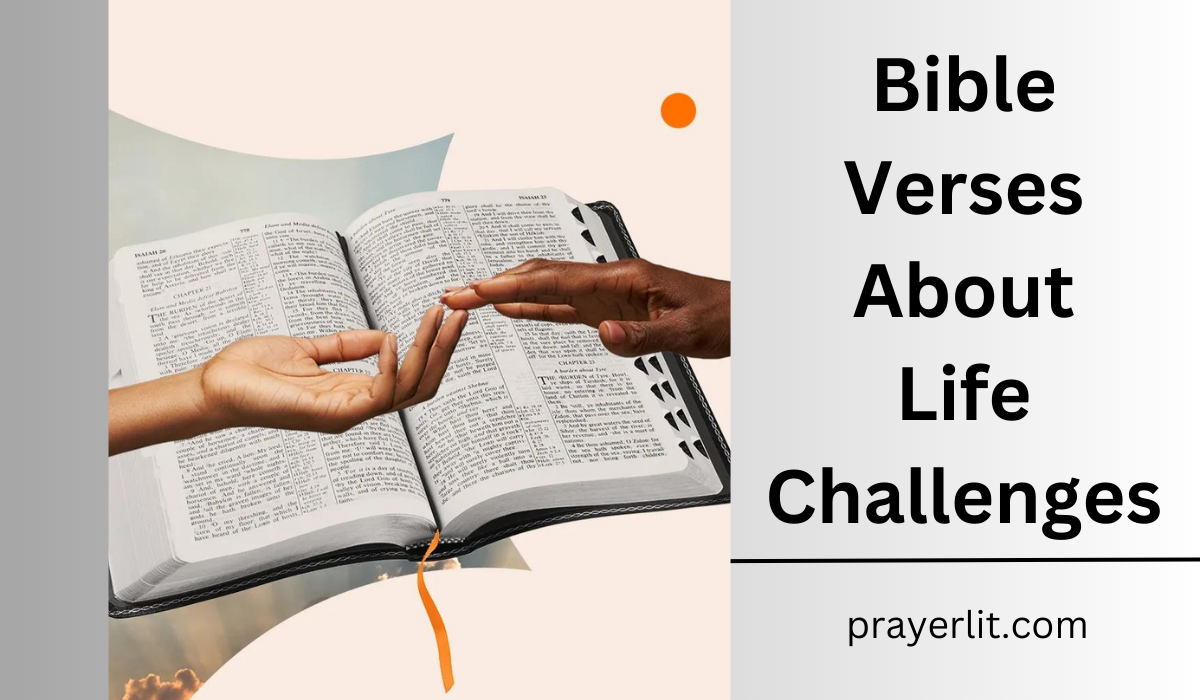  Bible Verses About Life Challenges