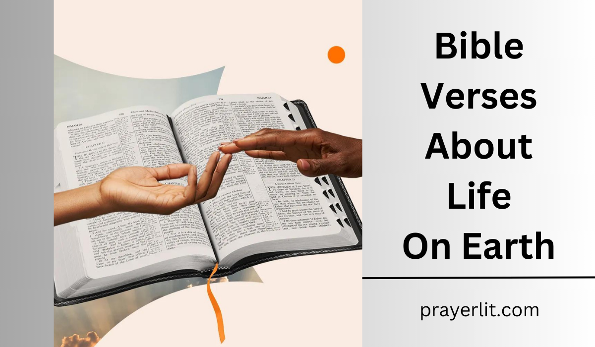  Bible Verses About Life On Earth
