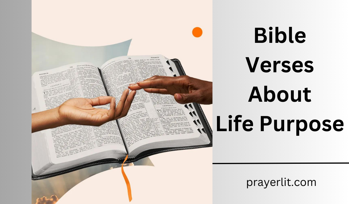 Bible Verses About Life Purpose