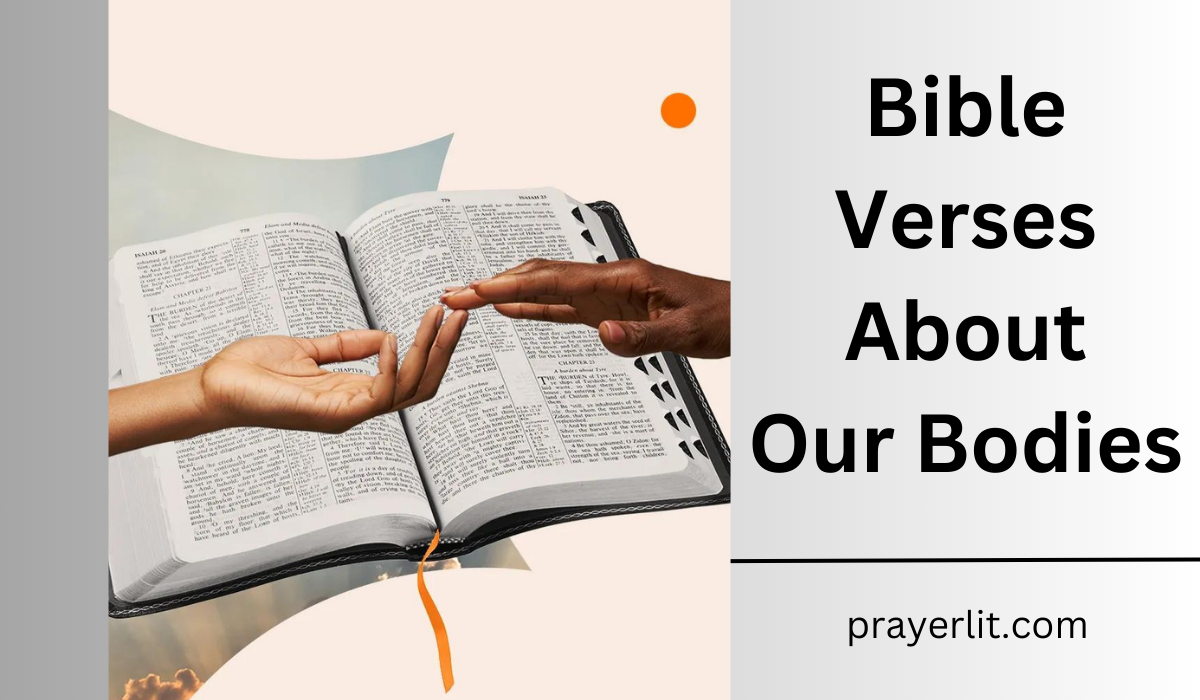  Bible Verses About Our Bodies