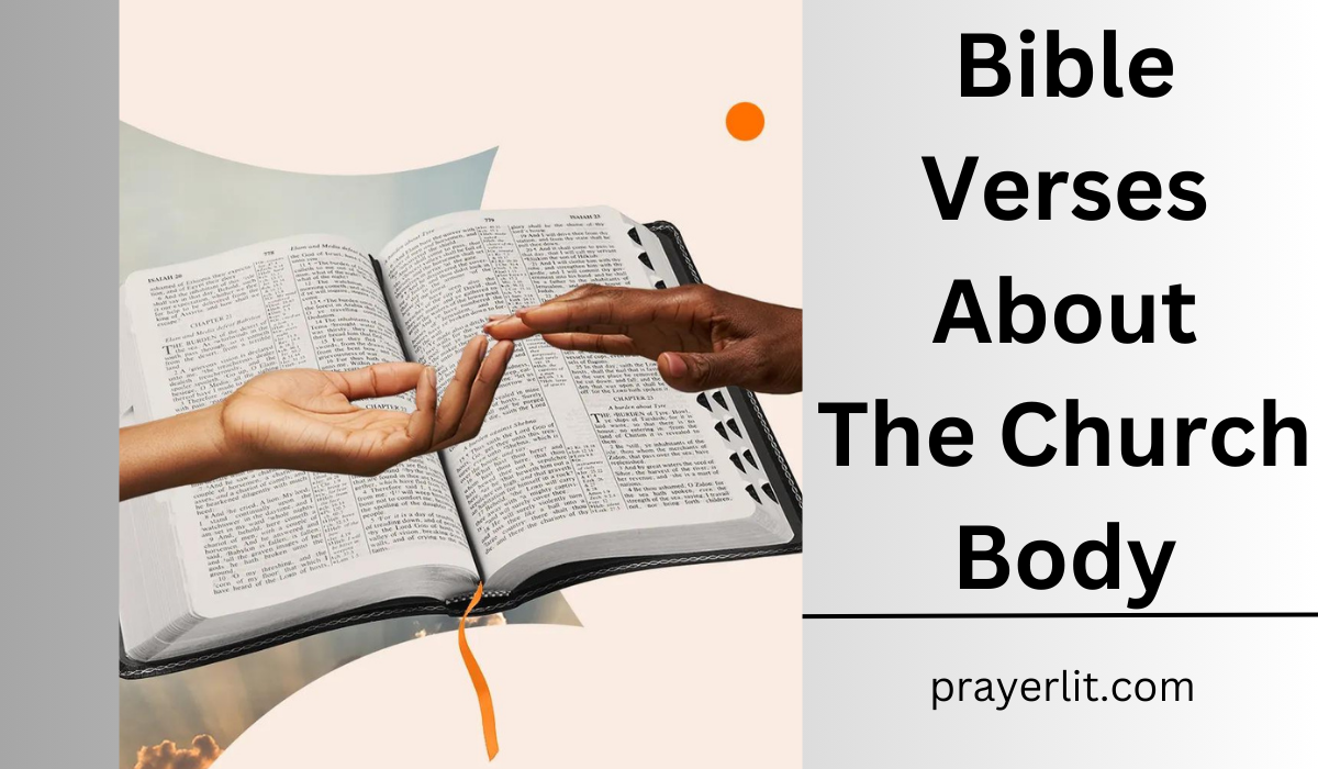Bible Verses About The Church Body