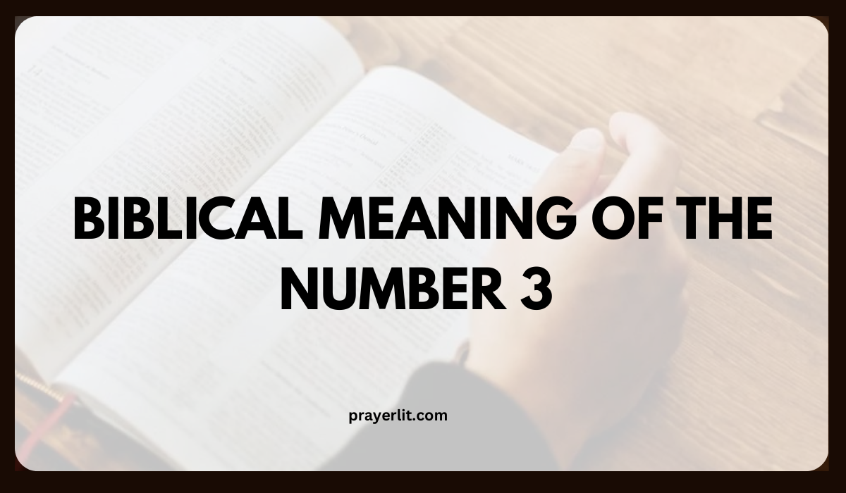 What does the number 3 mean in the Bible