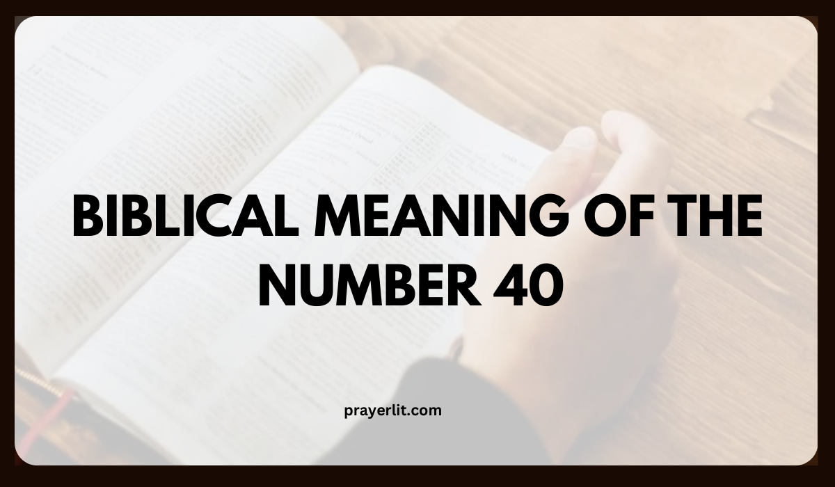 What Does the Number 40 Mean in the Bible?