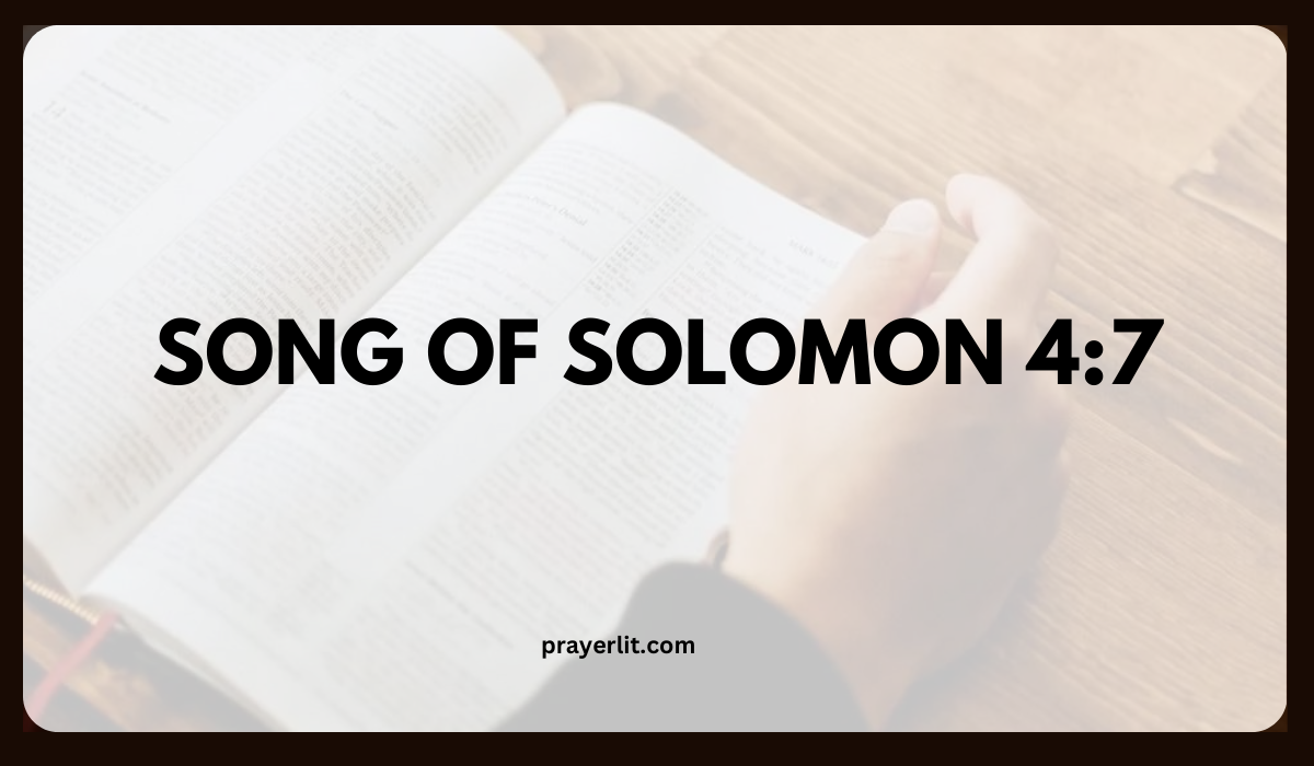 Song of Solomon 4:7 Meaning