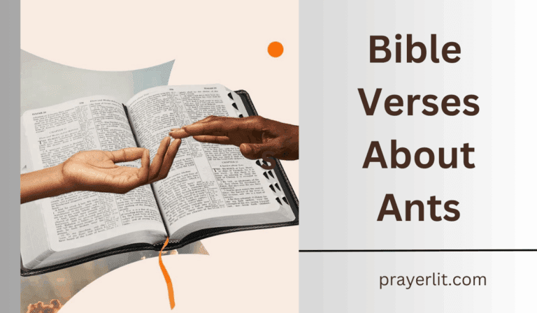 30 Powerful Bible Verses About Ants (2026) - PrayerLit