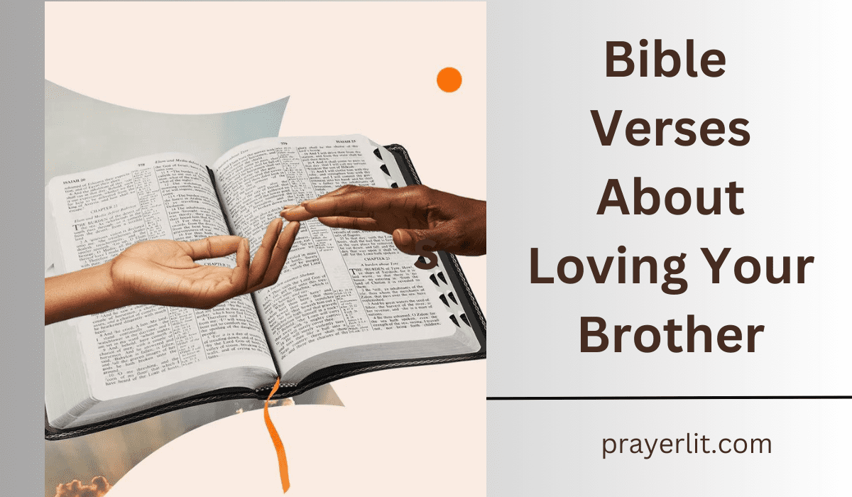  Bible Verses About Loving Your Brother