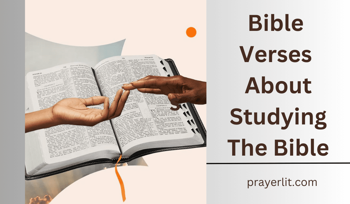  Bible Verses About Studying The Bible