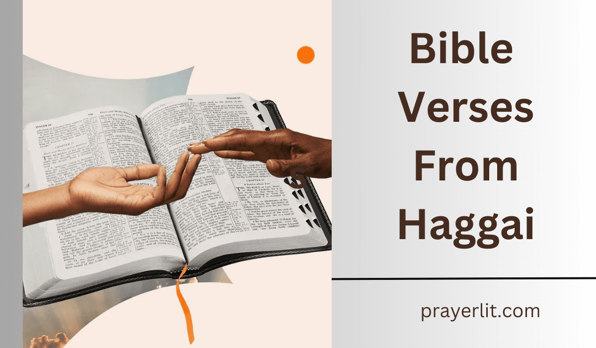  Bible Verses From Haggai