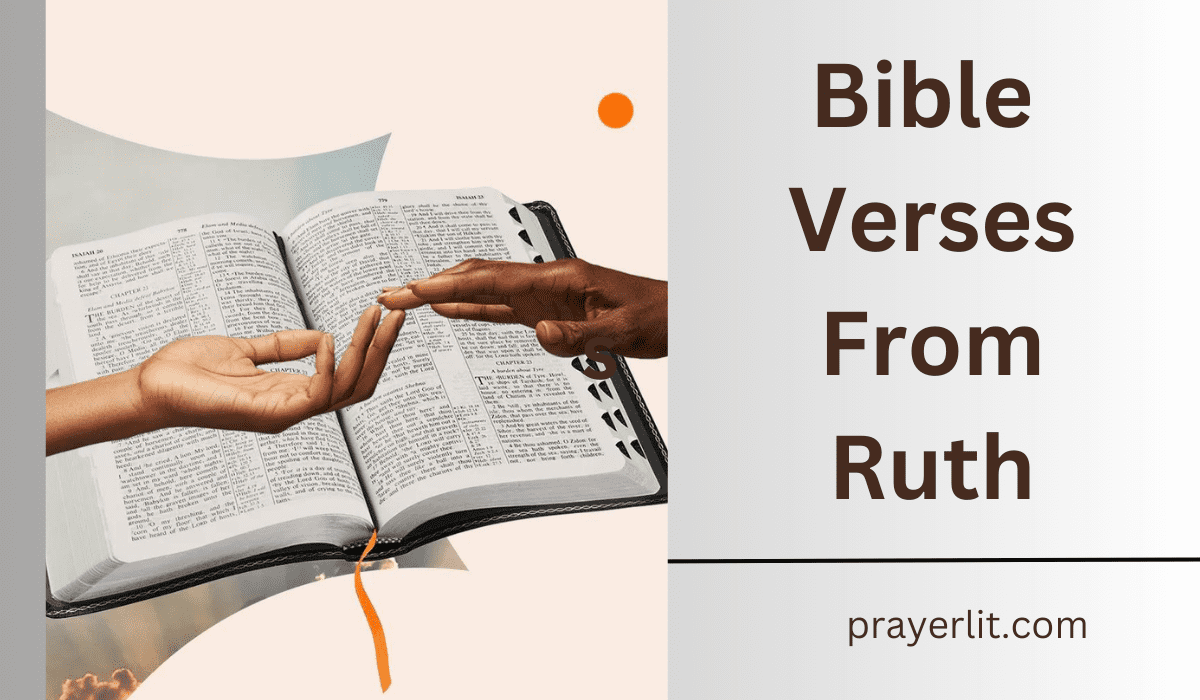 Bible Verses From Ruth