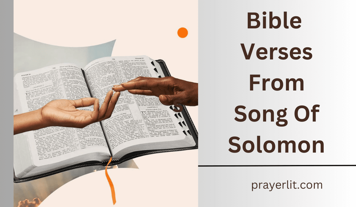 Bible Verses From Song Of Solomon