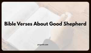 Bible Verses About Good Shepherd