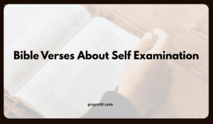 Bible Verses About Self Examination