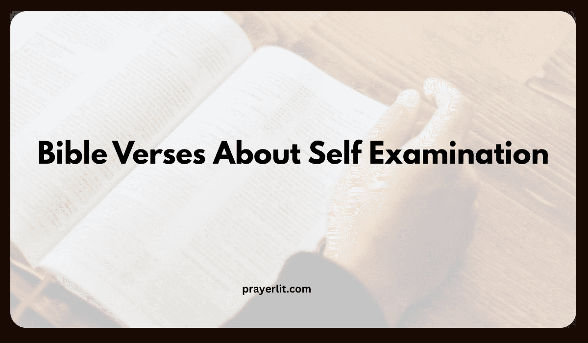 Bible Verses About Self Examination