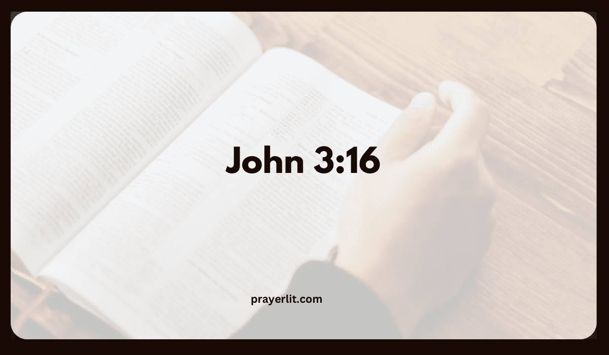 John 3:16 Meaning